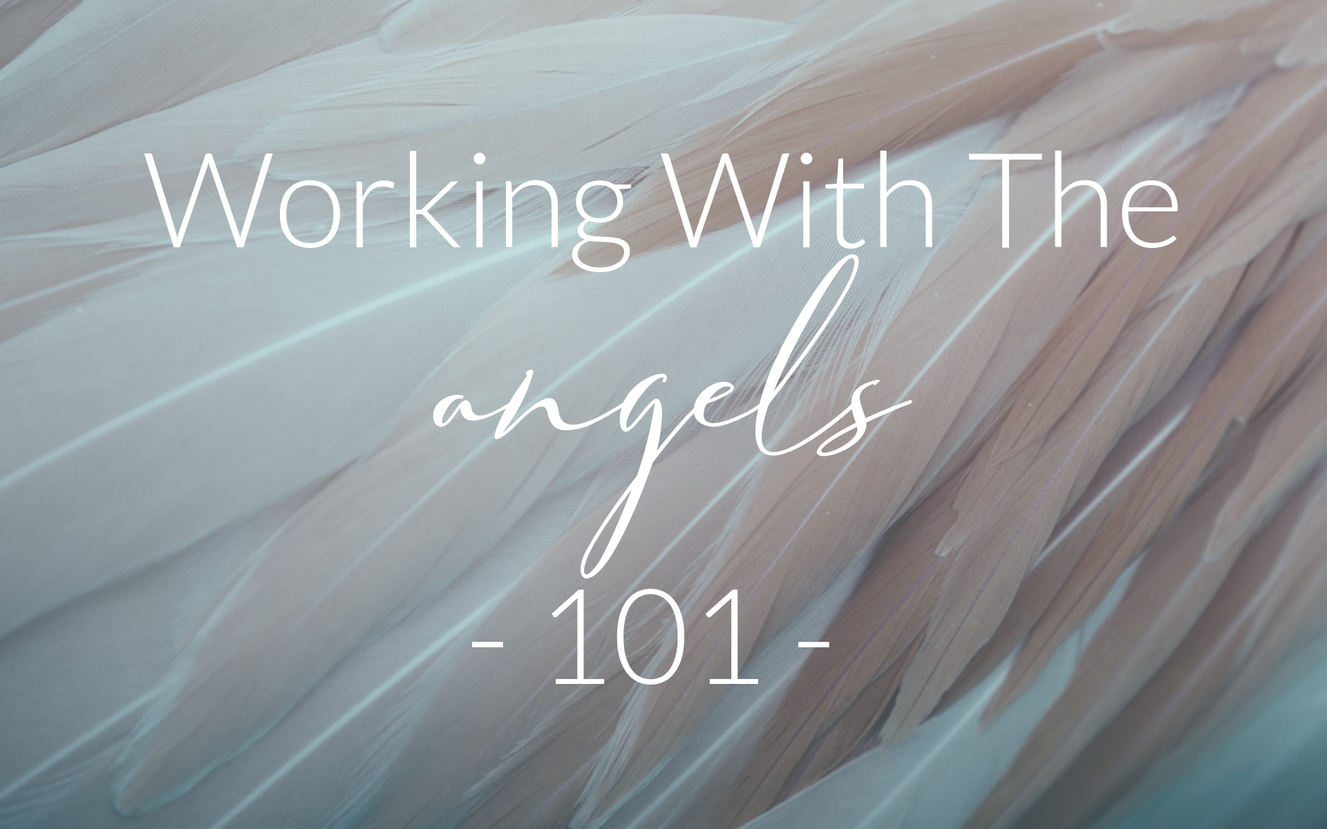 Working With Angels 101